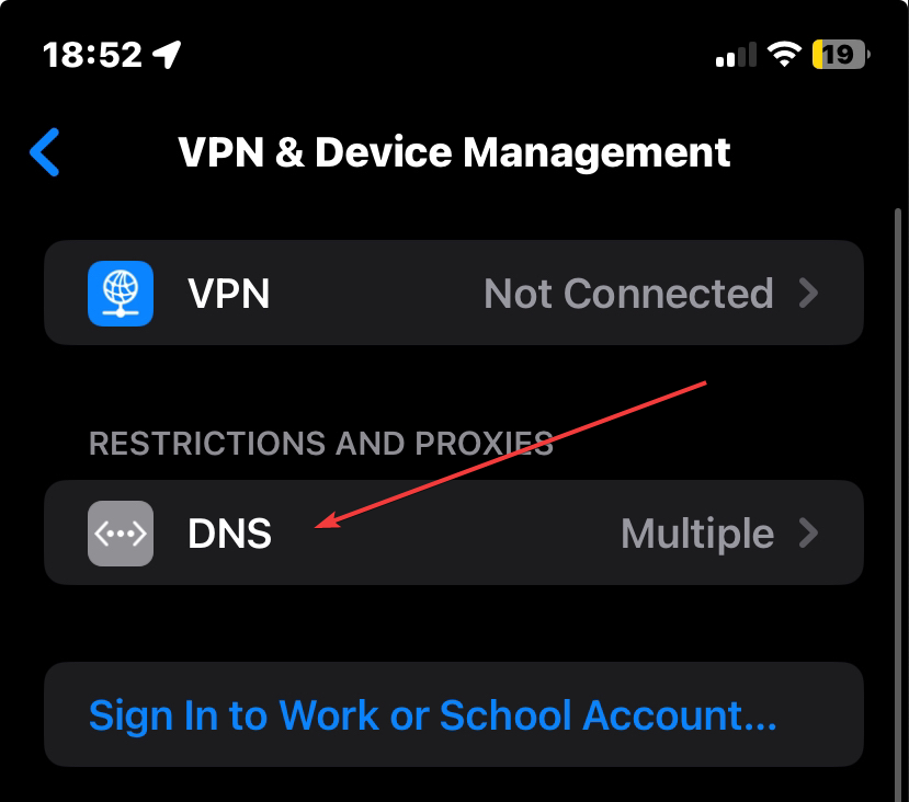 Go to DNS Settings